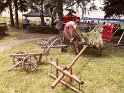 SAM_2875 SAM_2875